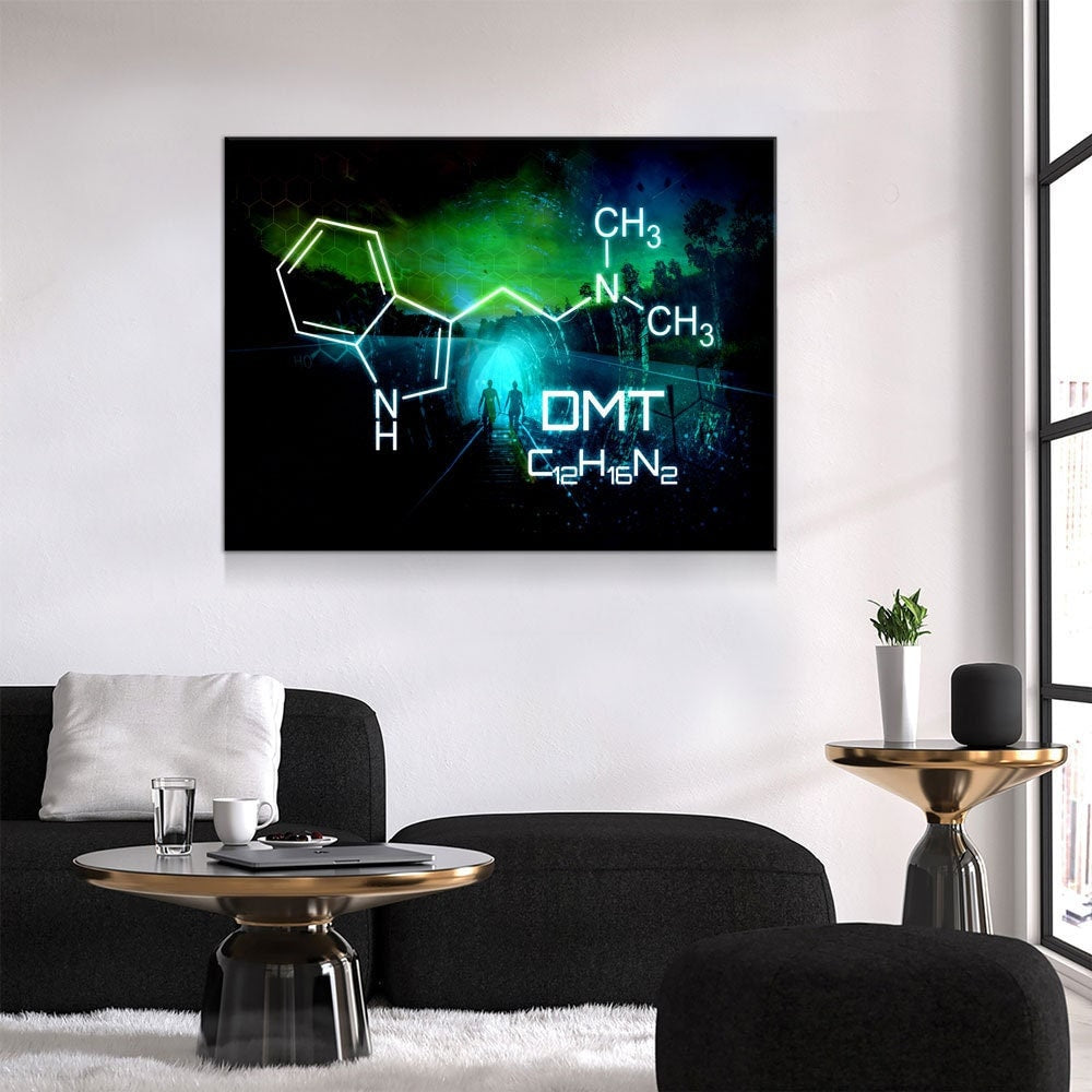The Spirit Molecule Canvas Wall Art, Trippy Decor, Ayahuasca Decor Gallery Wrap