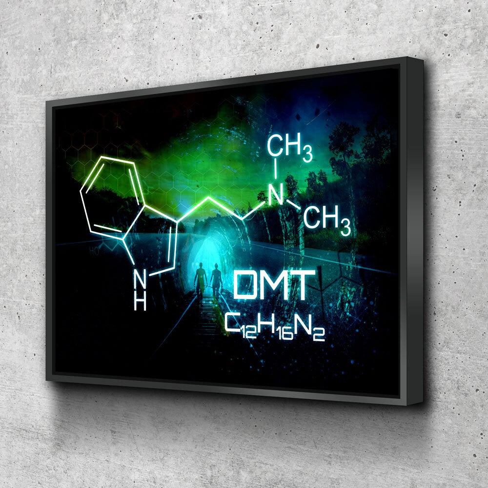 The Spirit Molecule Canvas Wall Art, Trippy Decor, Ayahuasca Decor With Floating Frame