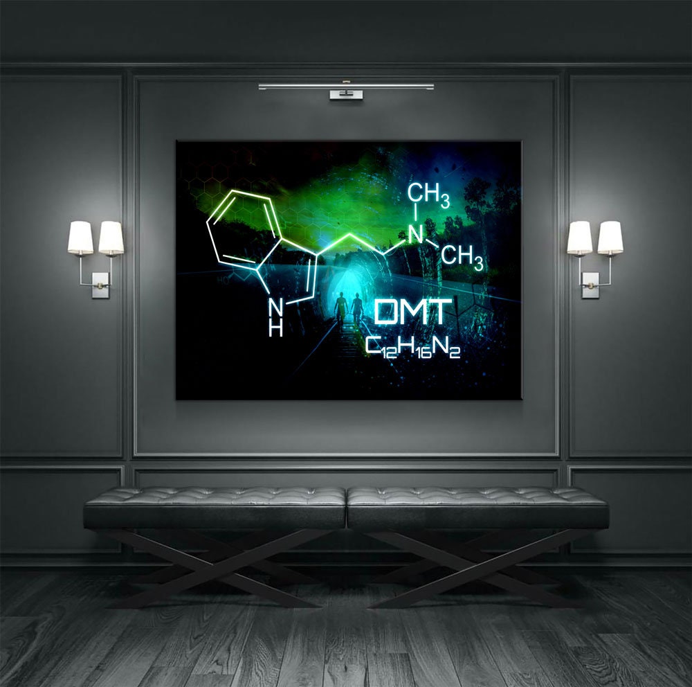 The Spirit Molecule Canvas Wall Art, Trippy Decor, Ayahuasca Decor