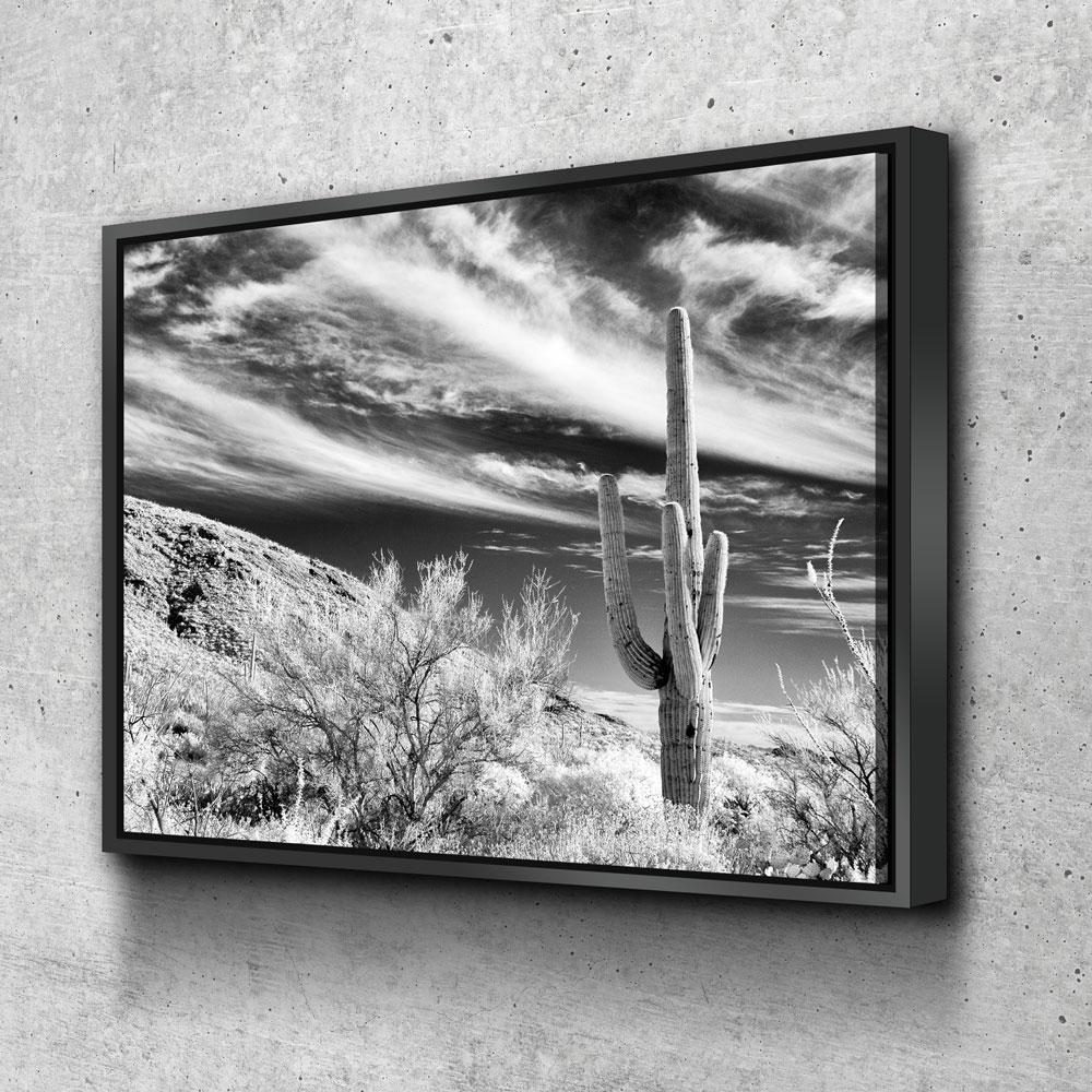 Saguaro Cactus Canvas Wall Art, Black and White Saguaro Cactus Decor, Cactus Decor, Desert Art, Saguaro National Park at Tucson, Arizona With Floating Frame
