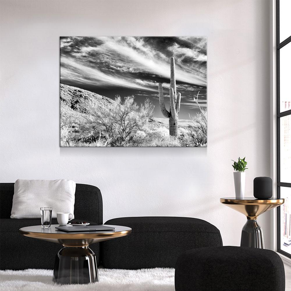 Saguaro Cactus Canvas Wall Art, Black and White Saguaro Cactus Decor, Cactus Decor, Desert Art, Saguaro National Park at Tucson, Arizona Gallery Wrap