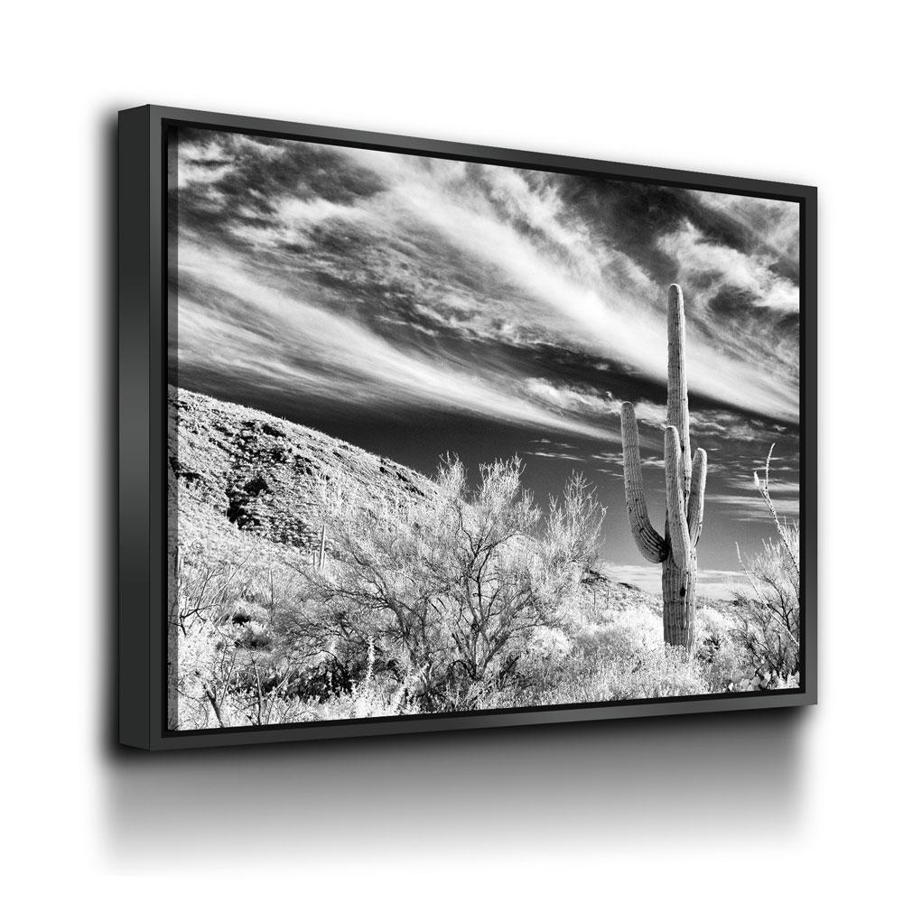 Saguaro Cactus Canvas Wall Art, Black and White Saguaro Cactus Decor, Cactus Decor, Desert Art, Saguaro National Park at Tucson, Arizona