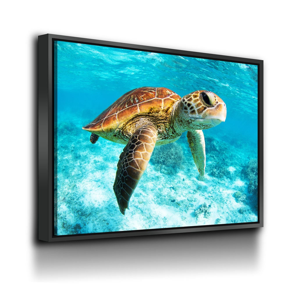 Underwater Sea Turtle Canvas Wall Art, Sea Turtle Canvas, Turtle Decor, Chelonioidea