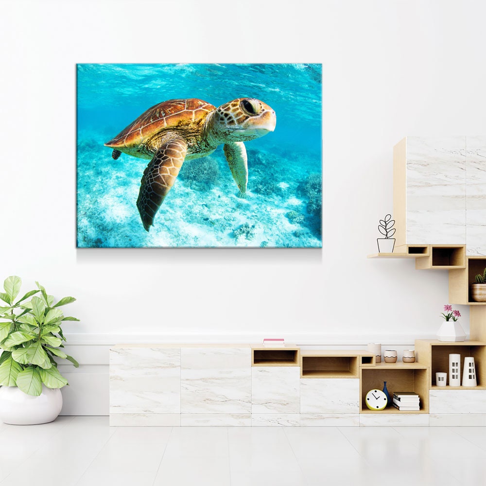Underwater Sea Turtle Canvas Wall Art, Sea Turtle Canvas, Turtle Decor, Chelonioidea Gallery Wrap
