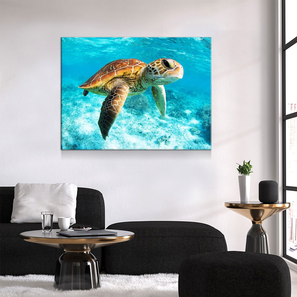 Underwater Sea Turtle Canvas Wall Art, Sea Turtle Canvas, Turtle Decor, Chelonioidea