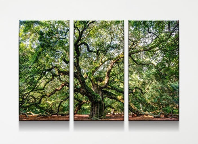 Angel Oak Tree Canvas Wall Art, Wilderness, Southern Live Oak, 3 Piece Wall Art Set, Extra Large Wall Art, Johns Island 3 Panel 26 X 18