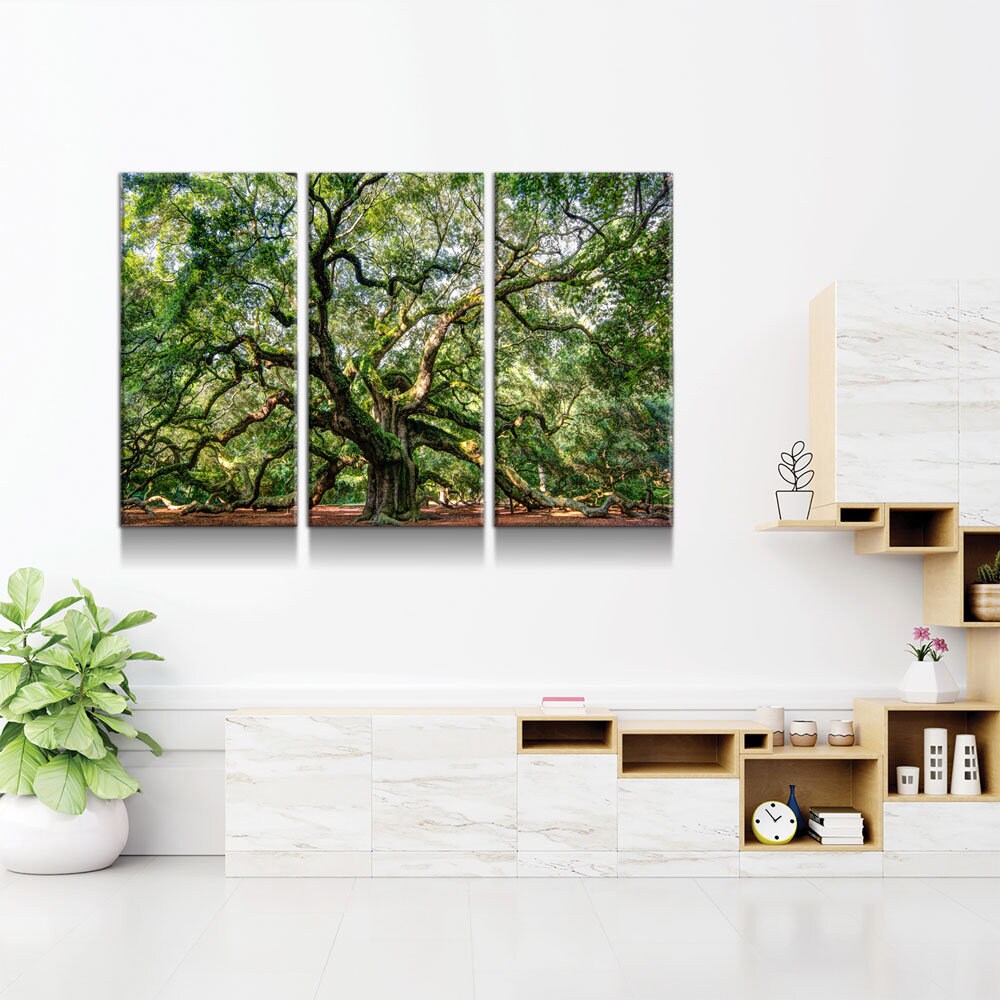 Angel Oak Tree Canvas Wall Art, Wilderness, Southern Live Oak, 3 Piece Wall Art Set, Extra Large Wall Art, Johns Island