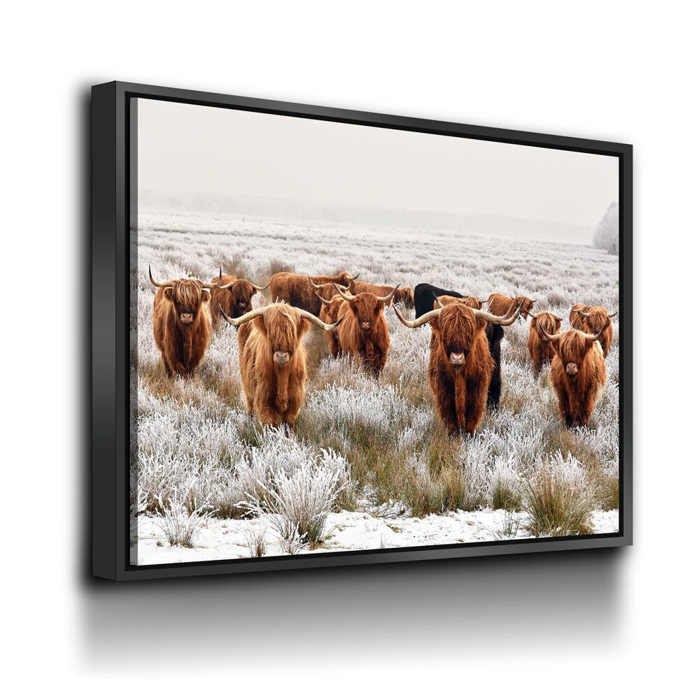 Highland Cows Canvas Wall Art, Ranch Art, XL Wall Art, Ranch Style Home Decor, Scottish Cows, Scottish Highlanders