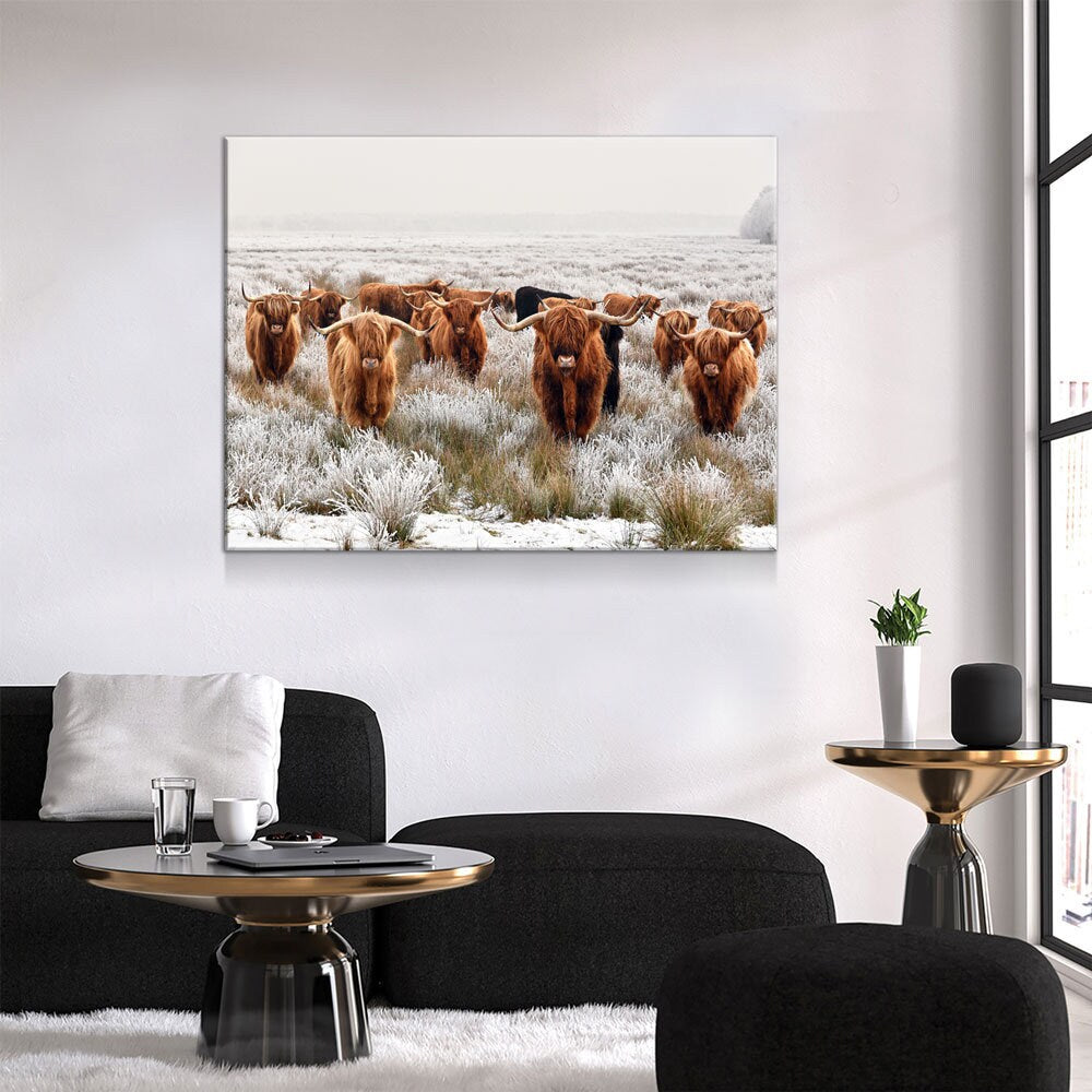 Highland Cows Canvas Wall Art, Ranch Art, XL Wall Art, Ranch Style Home Decor, Scottish Cows, Scottish Highlanders Gallery Wrap