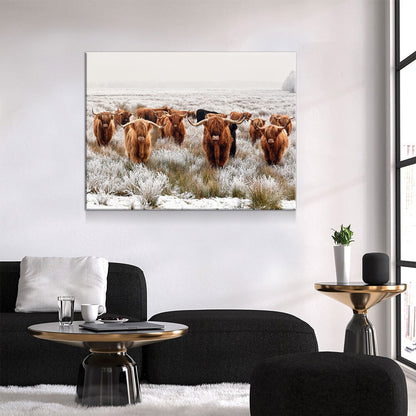 Highland Cows Canvas Wall Art, Ranch Art, XL Wall Art, Ranch Style Home Decor, Scottish Cows, Scottish Highlanders Gallery Wrap