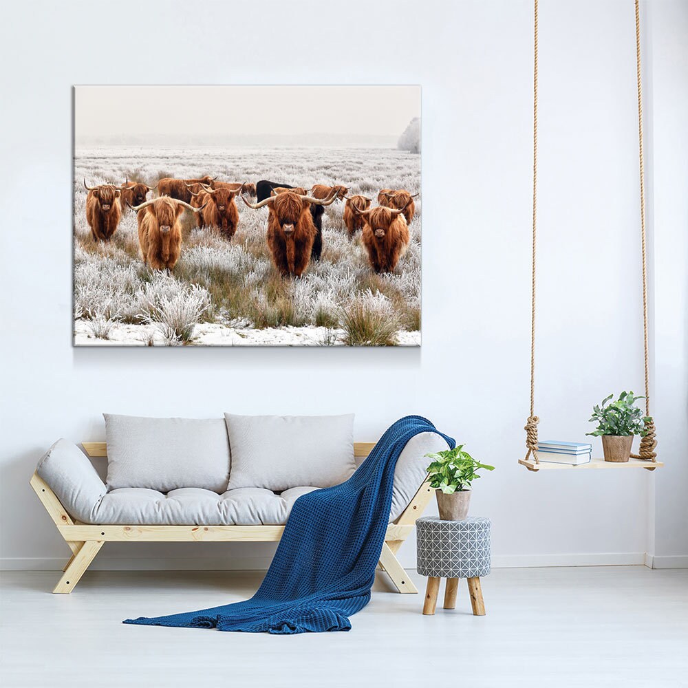 Highland Cows Canvas Wall Art, Ranch Art, XL Wall Art, Ranch Style Home Decor, Scottish Cows, Scottish Highlanders