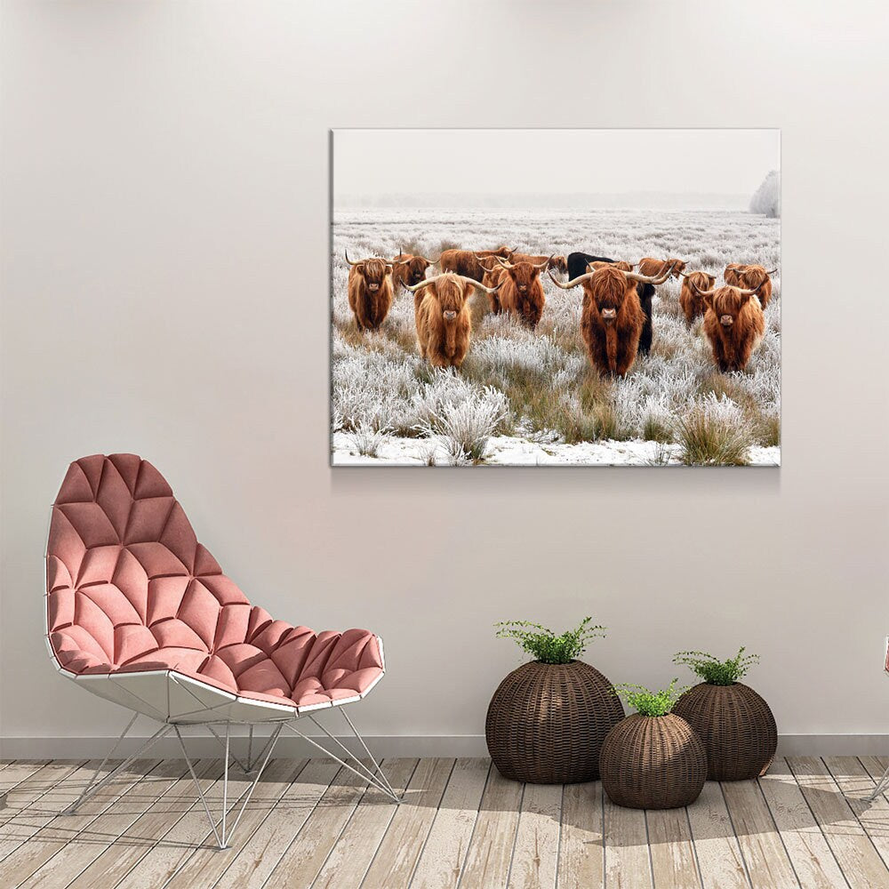 Highland Cows Canvas Wall Art, Ranch Art, XL Wall Art, Ranch Style Home Decor, Scottish Cows, Scottish Highlanders