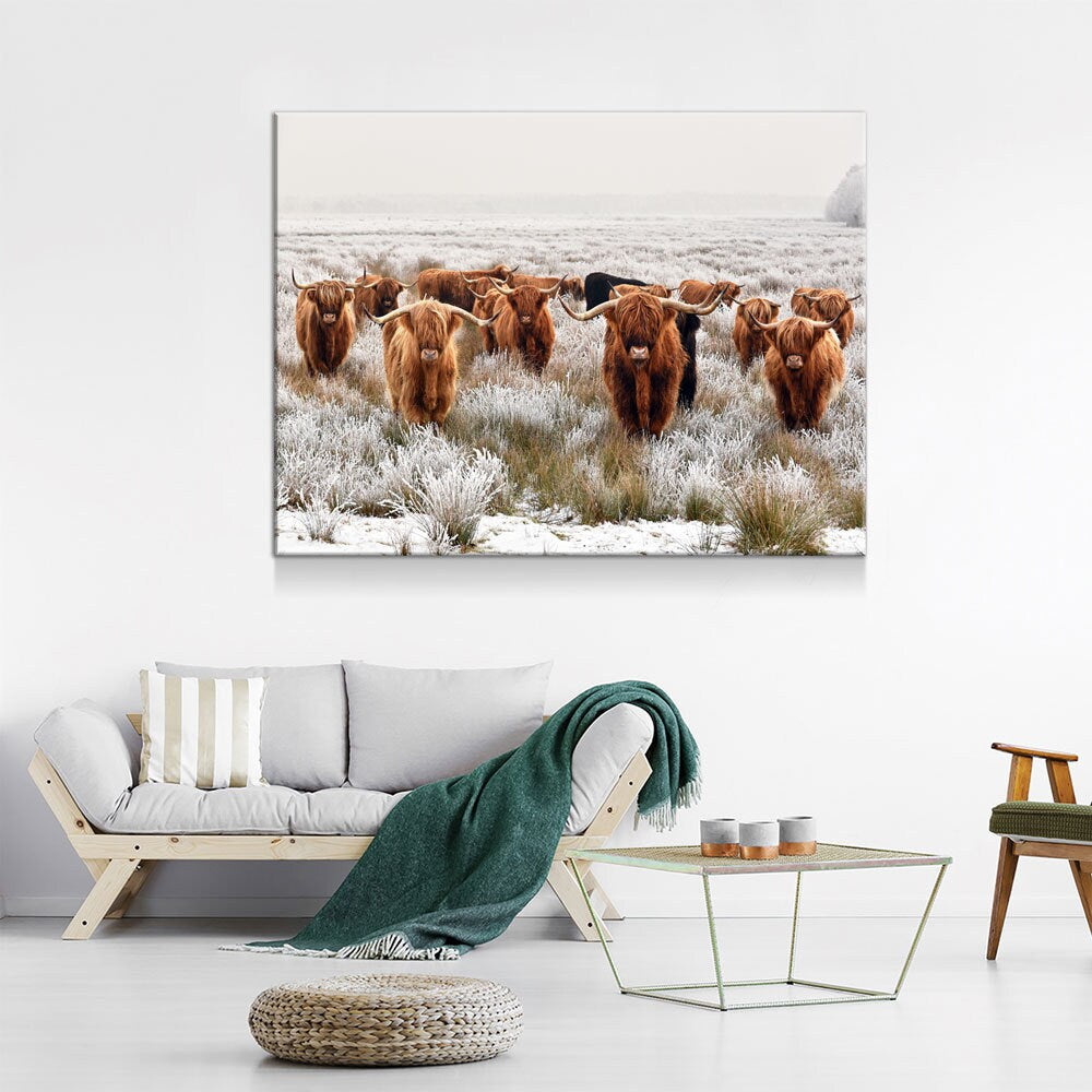 Highland Cows Canvas Wall Art, Ranch Art, XL Wall Art, Ranch Style Home Decor, Scottish Cows, Scottish Highlanders