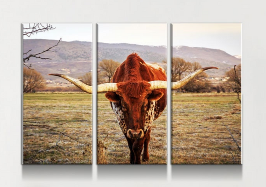 Texas Longhorn Canvas Wall Art, Ranch Art, XL Wall Art, Ranch Style Home Decor, 3 Piece Wall Art, 5 Piece Wall Art, Extra Large Wall art 3 Panel 50 X 36