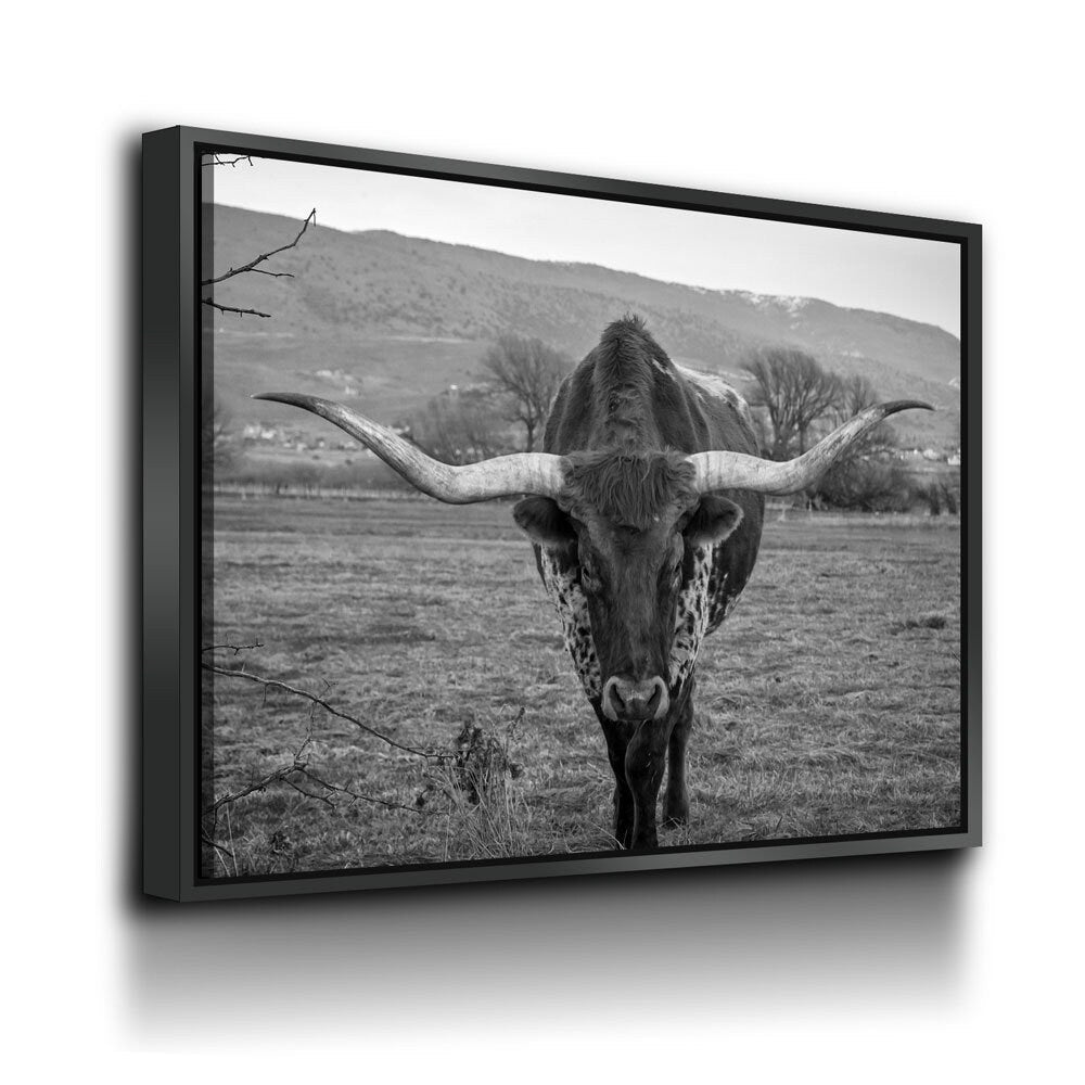 Texas Longhorn Black & White Canvas Wall Art, Ranch Art, XL Wall Art, Ranch Style Home Decor, Black and White Texas Longhorn With Floating Frame