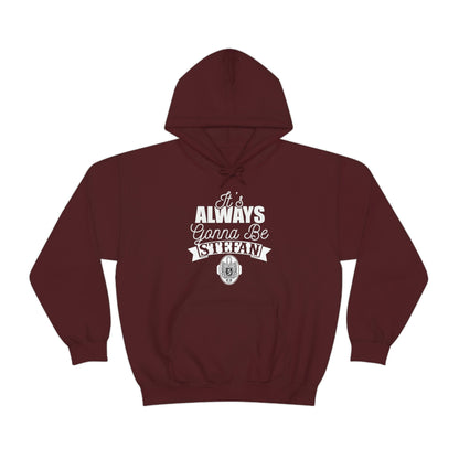 It's Always Gonna Be Stefan Hoodie, Vampire Diaries Inspired Design Stefan Hooded Sweatshirt