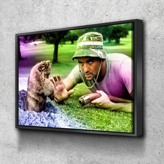 Caddyshack Classic Canvas Wall Art, Abstract Caddyshack With Black Floating Frame