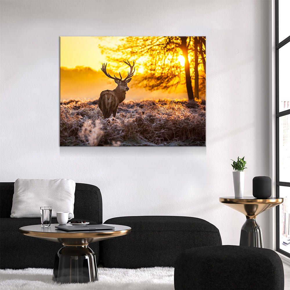 Deer Canvas Wall Art, Big Buck Sunset Hunting Decor