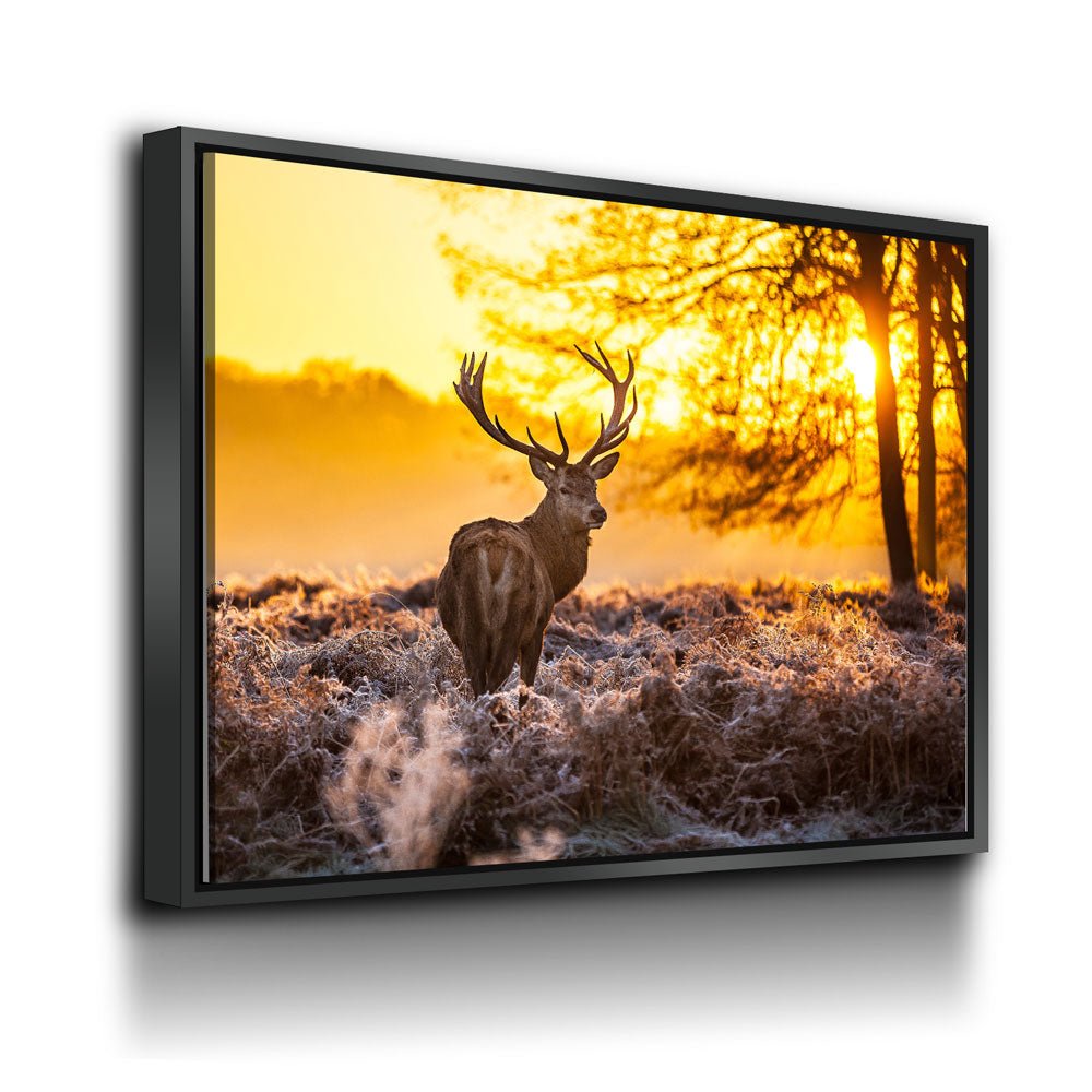 Deer Canvas Wall Art, Big Buck Sunset Hunting Decor