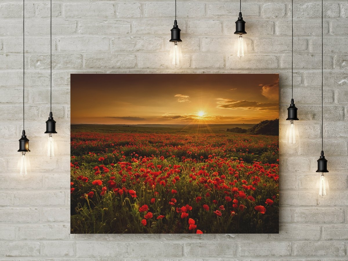 Poppy Flower Poppy Field Canvas Wall Art, Sunset Poppy Fields Art