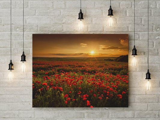 Poppy Flower Poppy Field Canvas Wall Art, Sunset Poppy Fields Art
