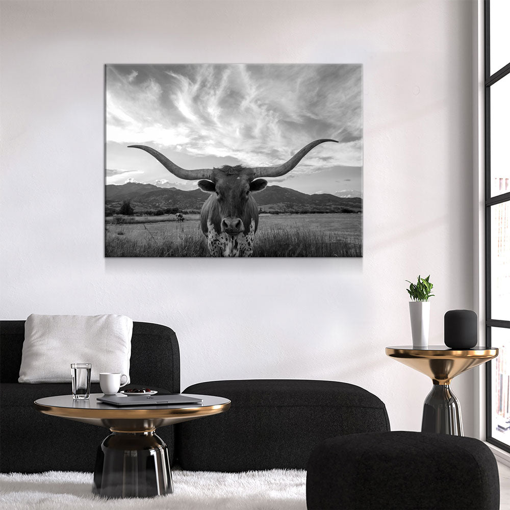 Texas Longhorn Black & White Canvas Wall Art, Ranch Decor
